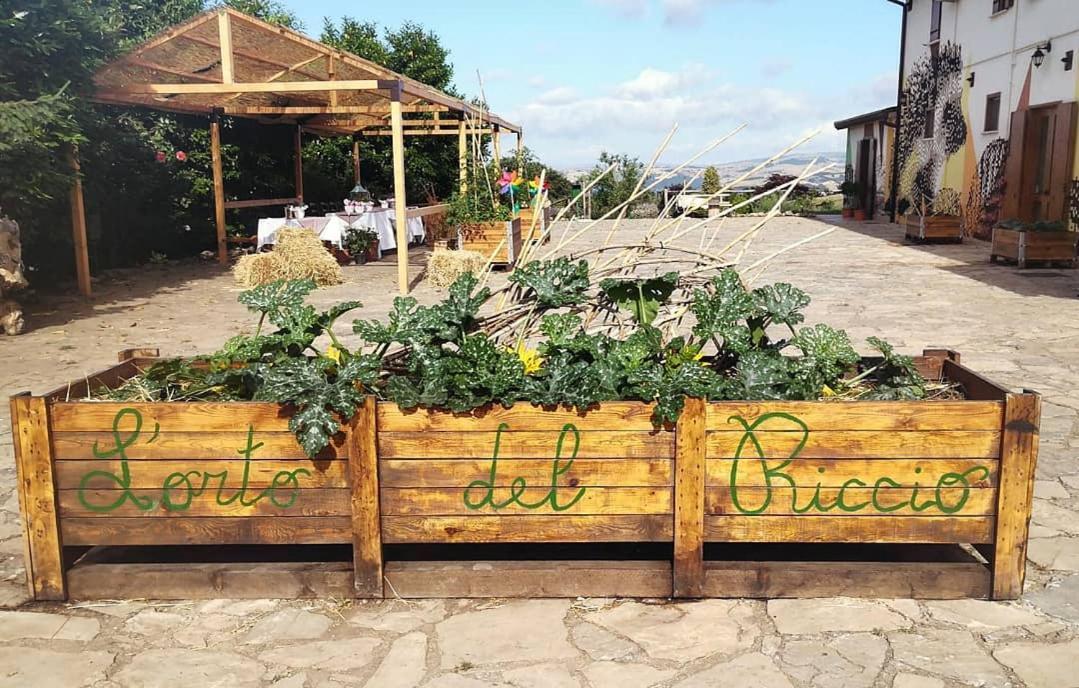 Agriturismo Il Riccio Monticchio  Exterior foto